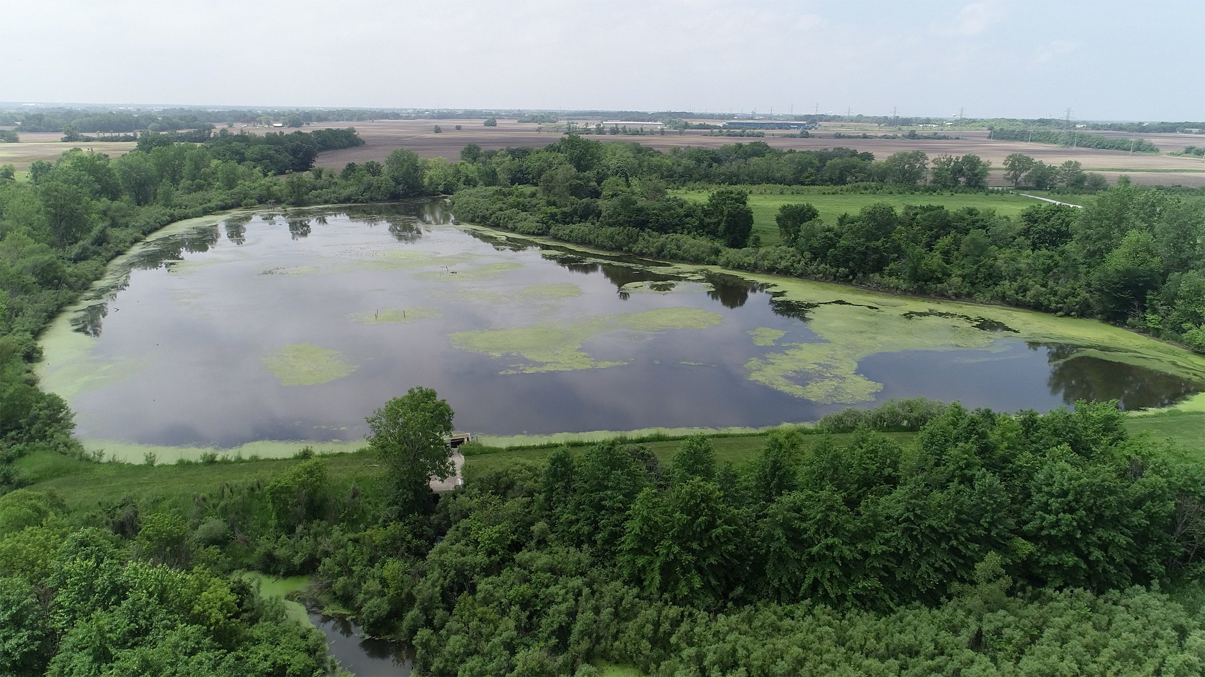 Lake County, Indiana farmland - LAND AUCTION - 147+/- ACRES OFFERED IN 3 TRACTS IN LAKE COUNTY, INDIANA